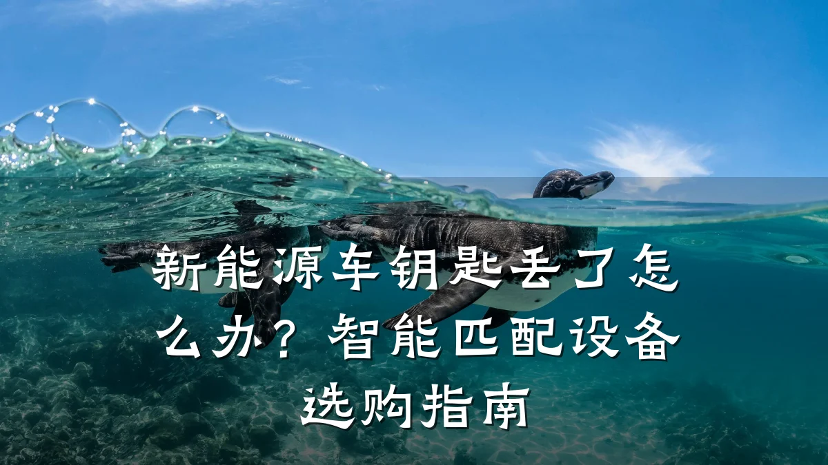 新能源车钥匙丢了怎么办?智能匹配设备选购指南