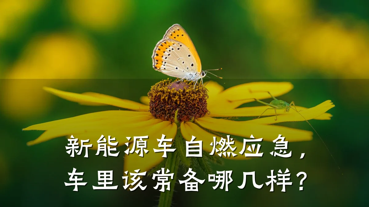 新能源车自燃应急,车里该常备哪几样?