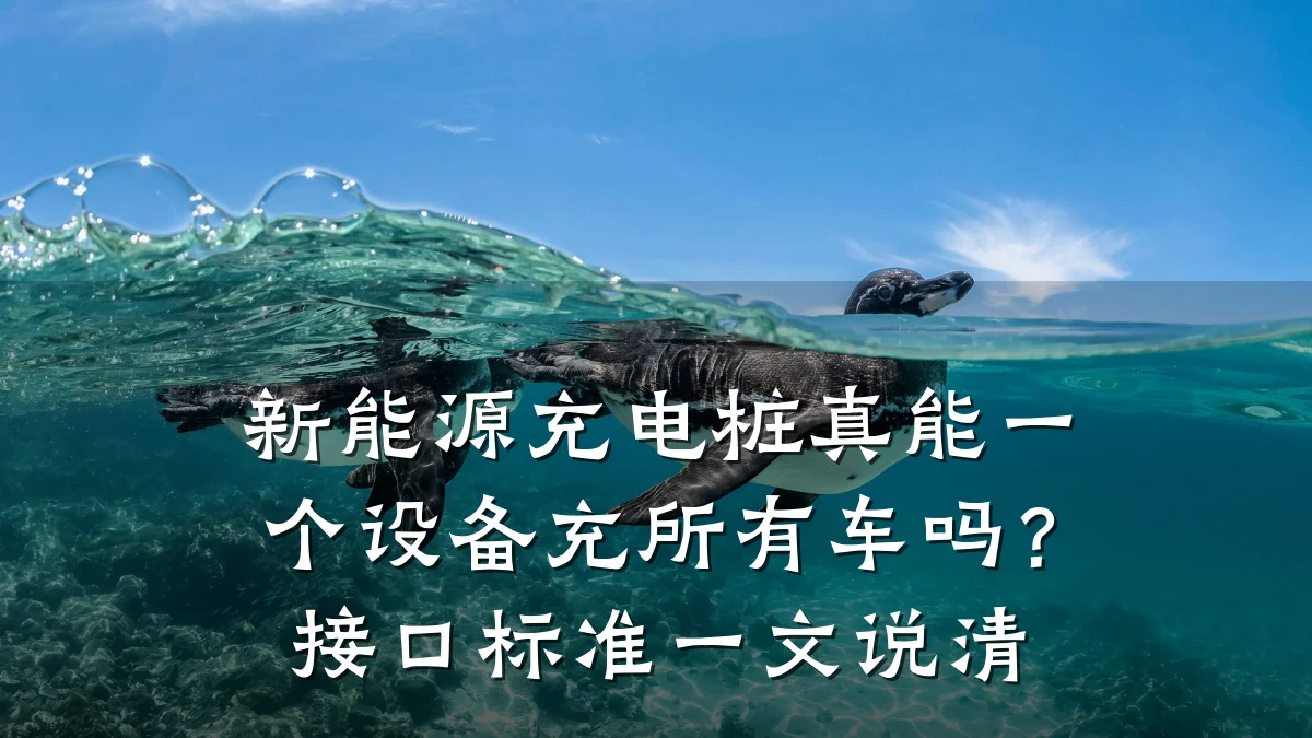 新能源充电桩真能一个设备充所有车吗?接口标准一文说清