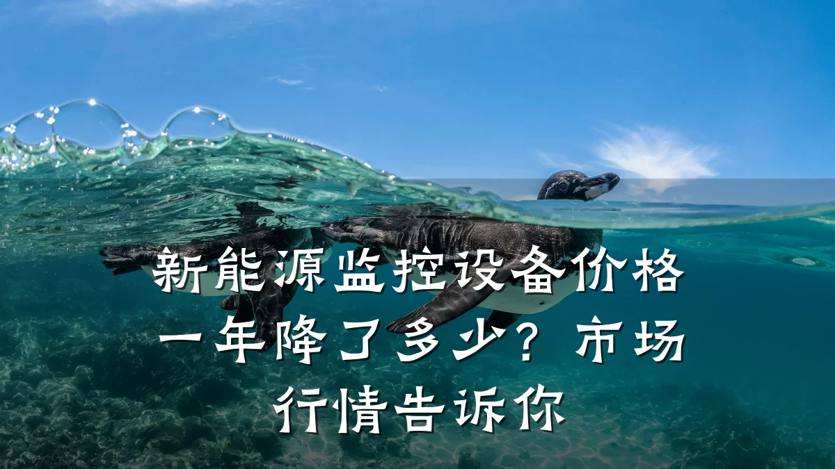 新能源监控设备价格一年降了多少？市场行情告诉你