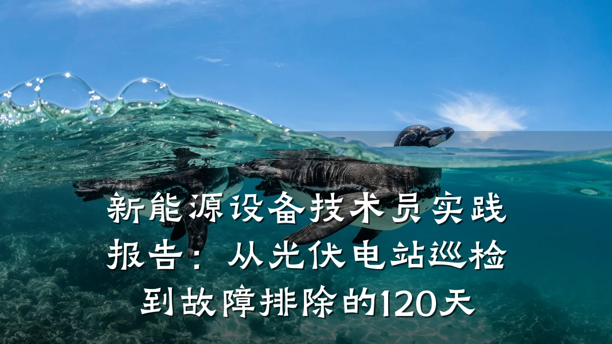 新能源设备技术员实践报告:从光伏电站巡检到故障排除的120天