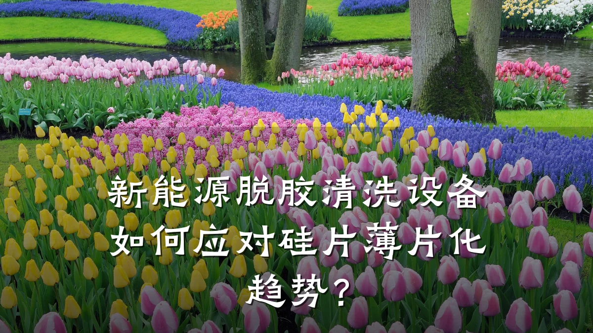 新能源脱胶清洗设备如何应对硅片薄片化趋势?