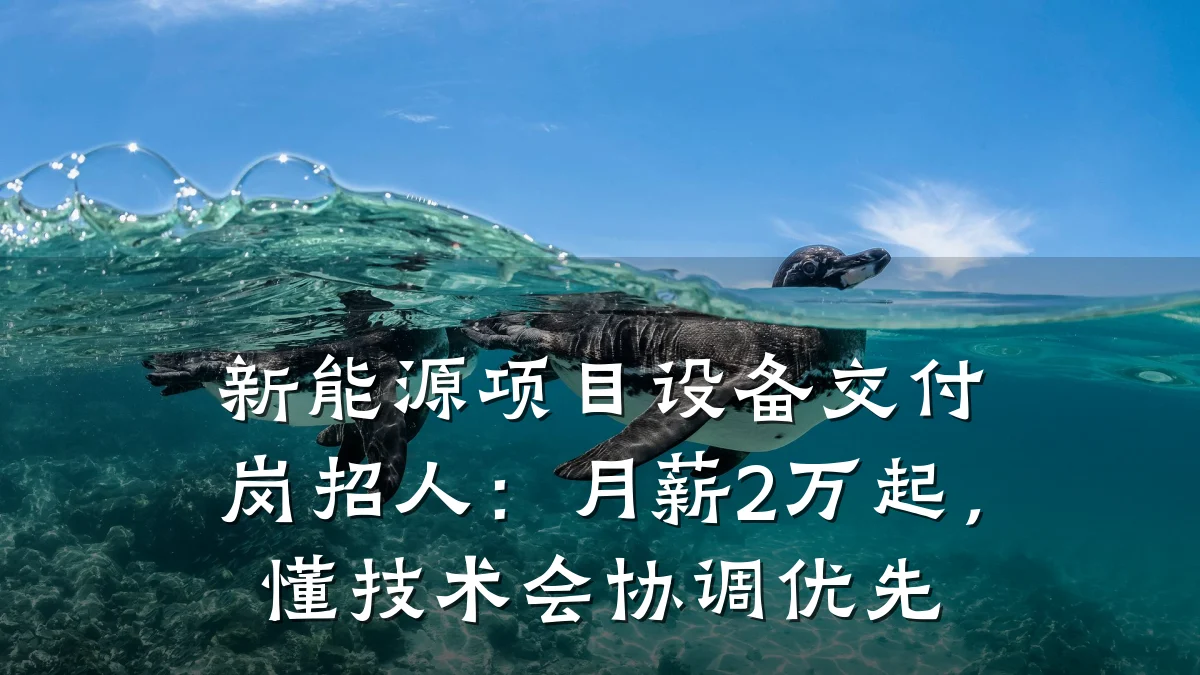 新能源项目设备交付岗招人:月薪2万起,懂技术会协调优先