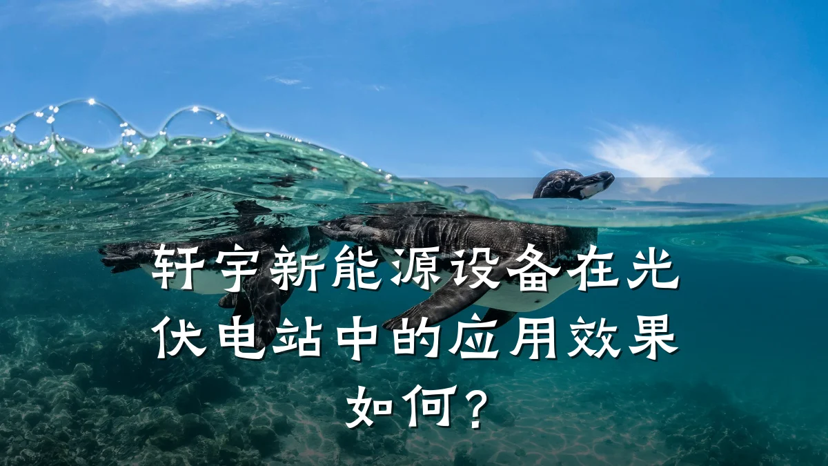 轩宇新能源设备在光伏电站中的应用效果如何?