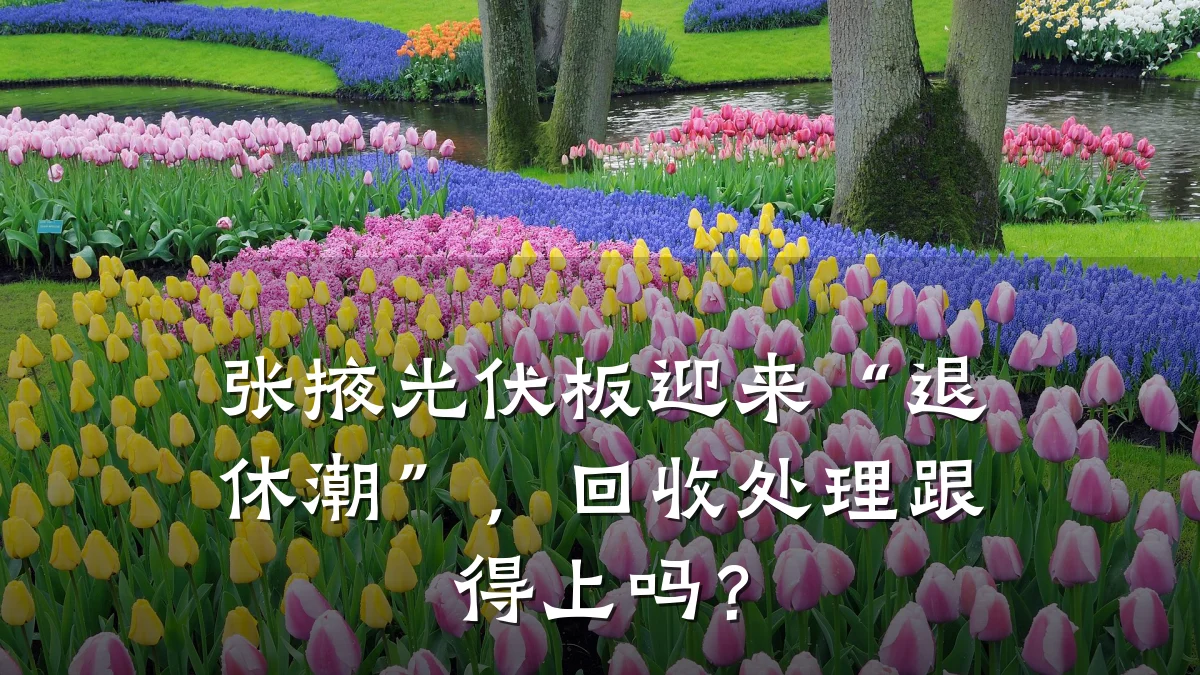 张掖光伏板迎来“退休潮”，回收处理跟得上吗？