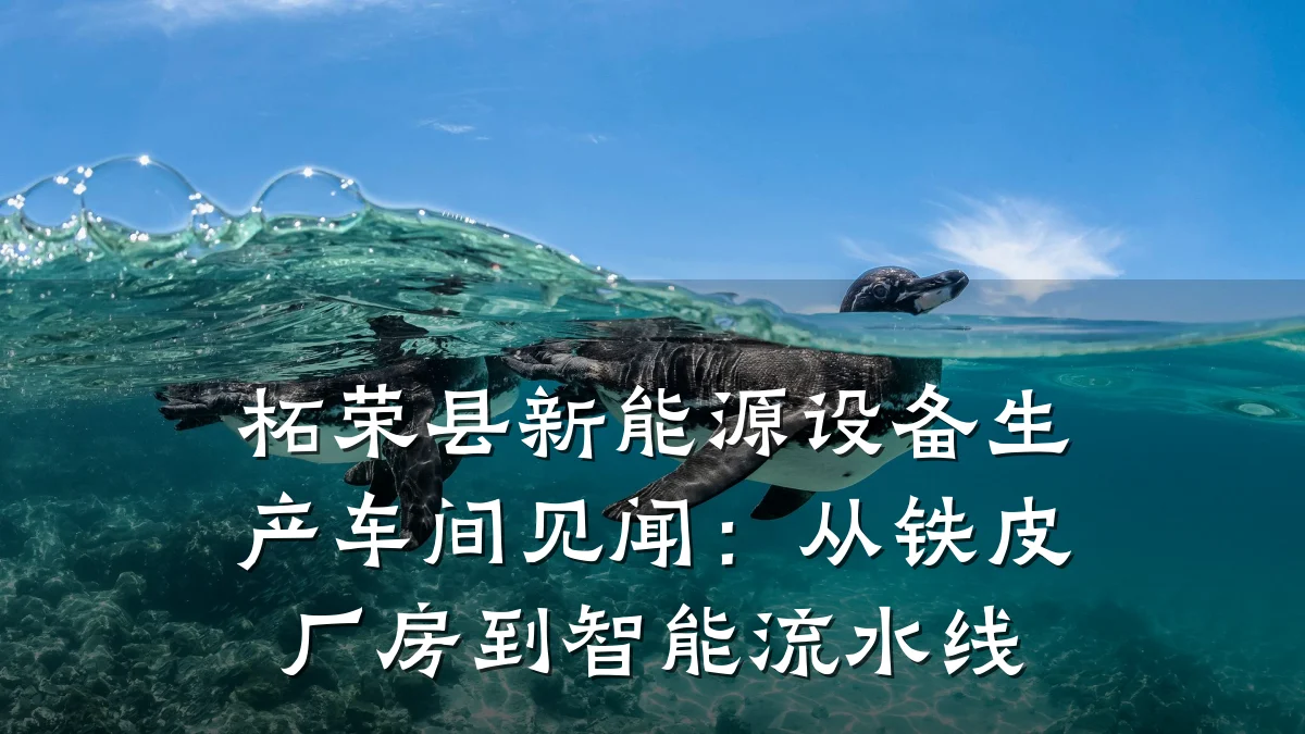 柘荣县新能源设备生产车间见闻:从铁皮厂房到智能流水线