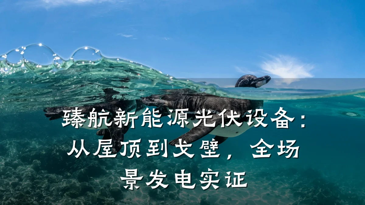 臻航新能源光伏设备:从屋顶到戈壁,全场景发电实证